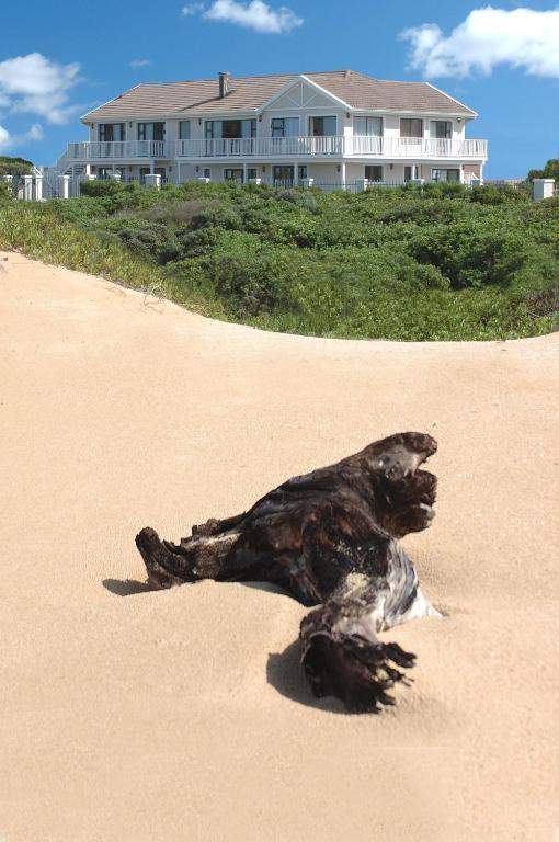 The Beach House Port Alfred Exterior foto